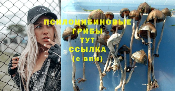 первитин Мегион