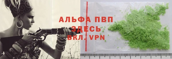 стаф Магас