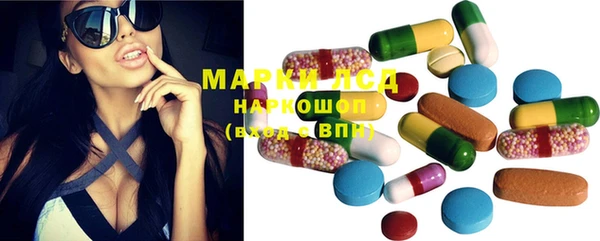 стаф Магас