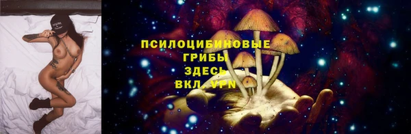 стаф Магас