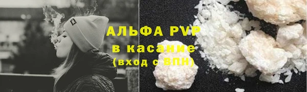 стаф Магас