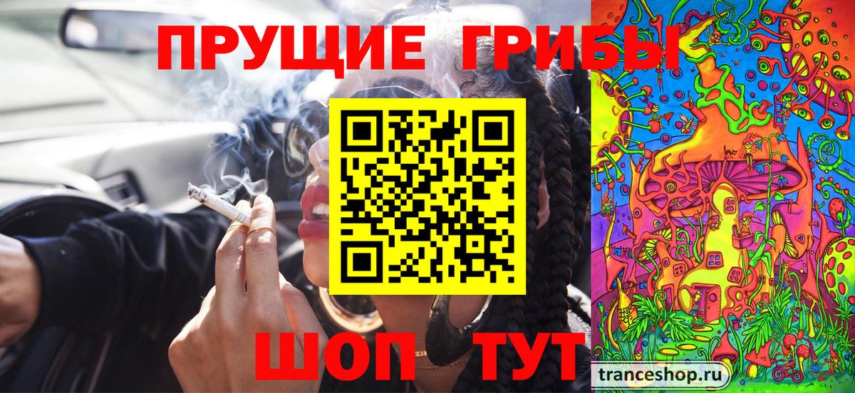 Псилоцибиновые грибы прущие грибы  Галлюциногенные грибы мухоморы  Урус-Мартан  Вход с VPN 