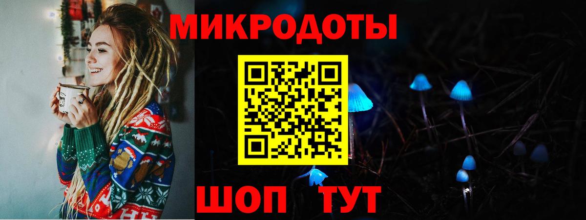 Галлюциногенные грибы Cubensis Урус-Мартан