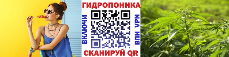 МАРИХУАНА сатива  Урус-Мартан 
